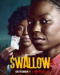 the poster for swallow
